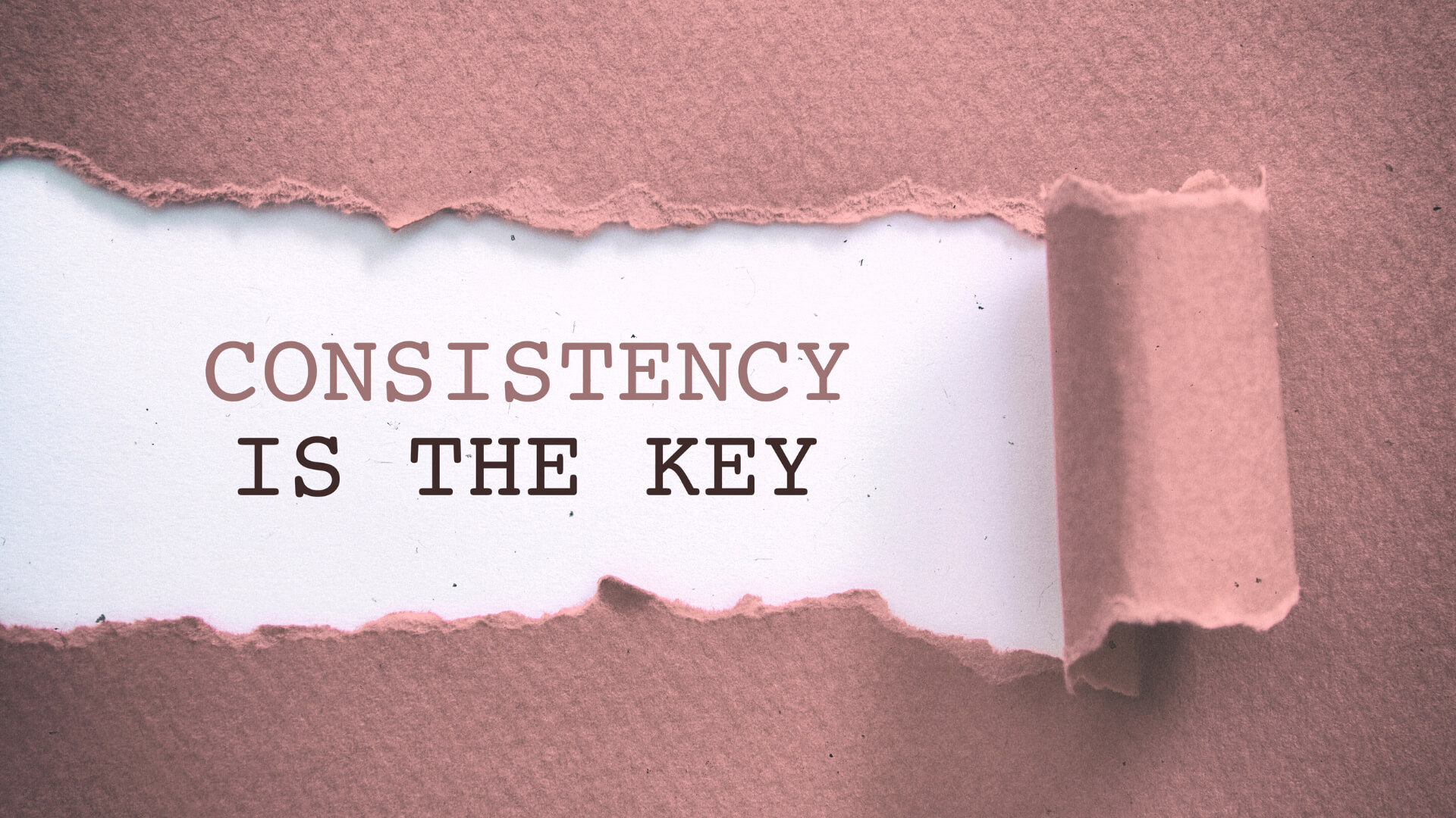 Brand Consistency: How to Build Trust and Keep Your Audience Hooked